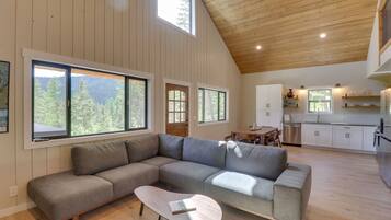 TV, fireplace, books