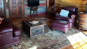 A rustic living room with wooden walls, a mounted deer head, a television, leather sofas, and a patterned rug.