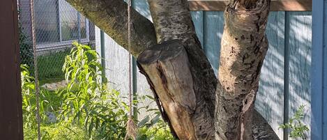 Detall de l'exterior