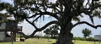 Quaint, peaceful apt near Rockefeller Refuge/Mermentau river  Grand Chenier, LA