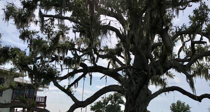 Quaint, peaceful apt near Rockefeller Refuge/Mermentau river Grand Chenier, LA