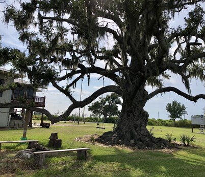 Quaint, peaceful apt near Rockefeller Refuge/Mermentau river  Grand Chenier, LA