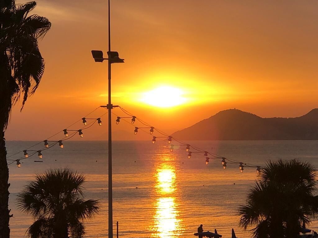 A sunset over a body of water with street lights and palm trees.
