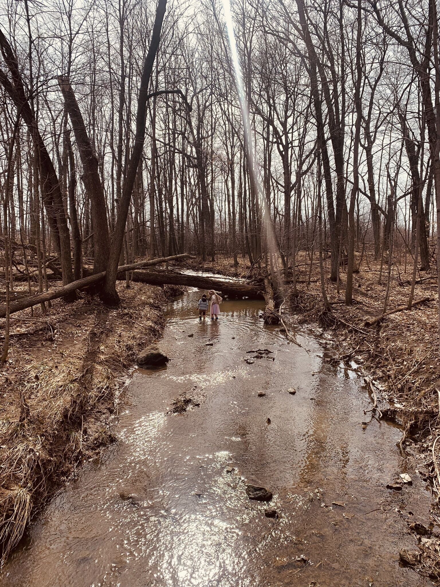 pic