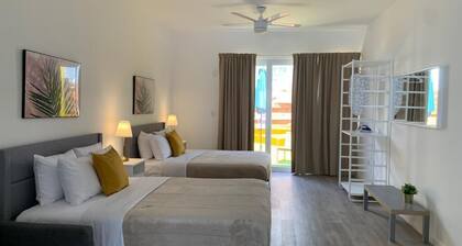 Villas at Auxilio Mutuo 105