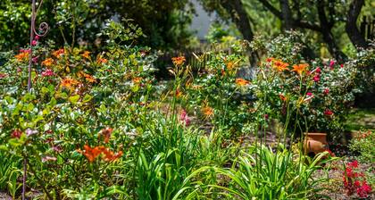 Coastal Chic Tiny house with Hottub, Kayak, Bikes and SUB's