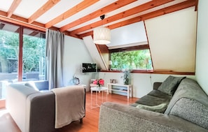 TV connectée, cheminée