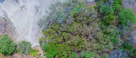 An aerial view of a coastal property with a swimming pool surrounded by lush greenery and a beach.