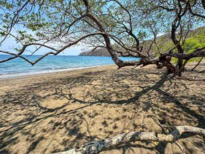 Plage, chaises longues, serviettes de plage