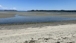 Eine Küstenlandschaft mit Sandstrand und ruhigem Wasser.