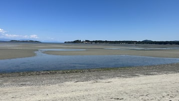 On the beach
