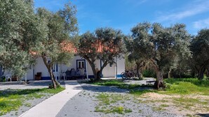 A courtyard with olive trees, a pathway, and a building with outdoor seating. - Monte Típico Alentejano (Escoural)