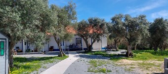 Monte Típico Alentejano