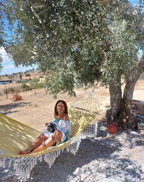 Terrein van de accommodatie