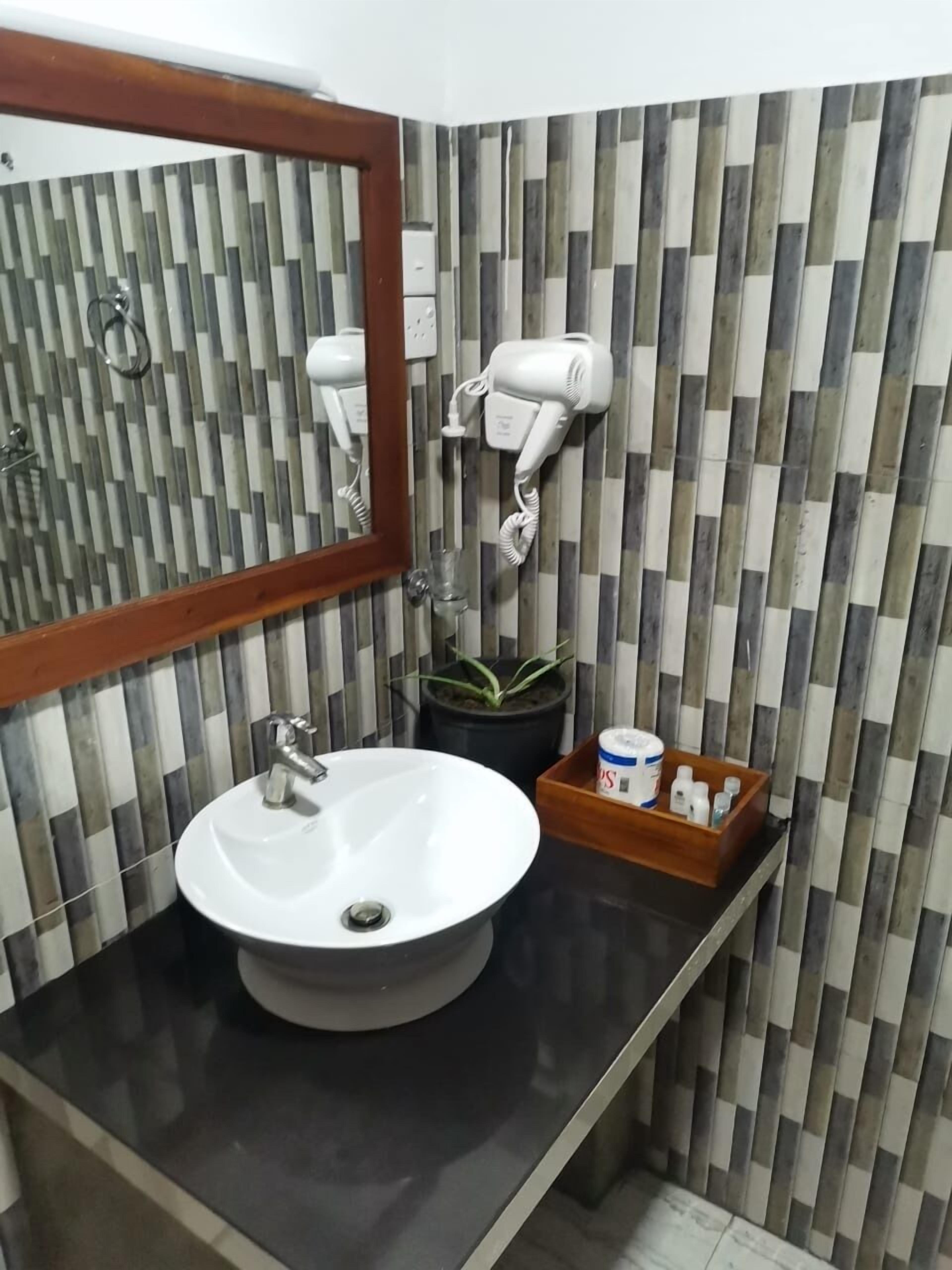 A bathroom with a round sink, a mirror, a hairdryer, a potted plant, and a wooden tray with toiletries.