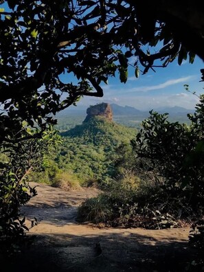 Front of property - Sunshine Resort and Spa (Sigiriya)