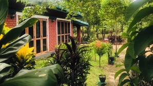 A brick building with large windows, surrounded by lush greenery and various plants.