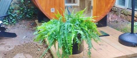 Parco della struttura