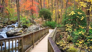A wooden boardwalk through a forest with a stream. - Helen Lodge with Sauna and Hot Tub, 2 min to Helen (Helen)
