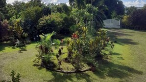 Ảnh chưa phân loại, 4 trong số 19 ảnh, nút