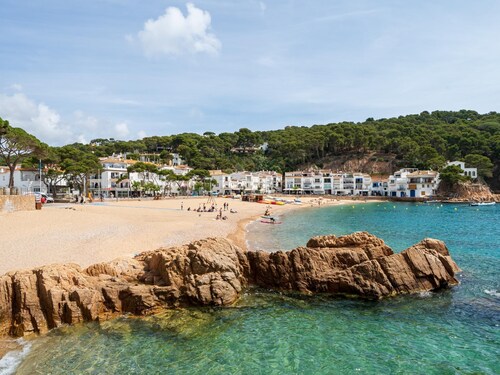 Privilege in Tamariu with private pool