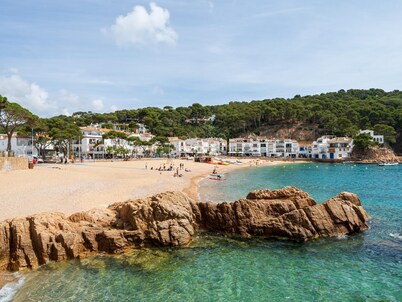 Privilege in Tamariu with private pool