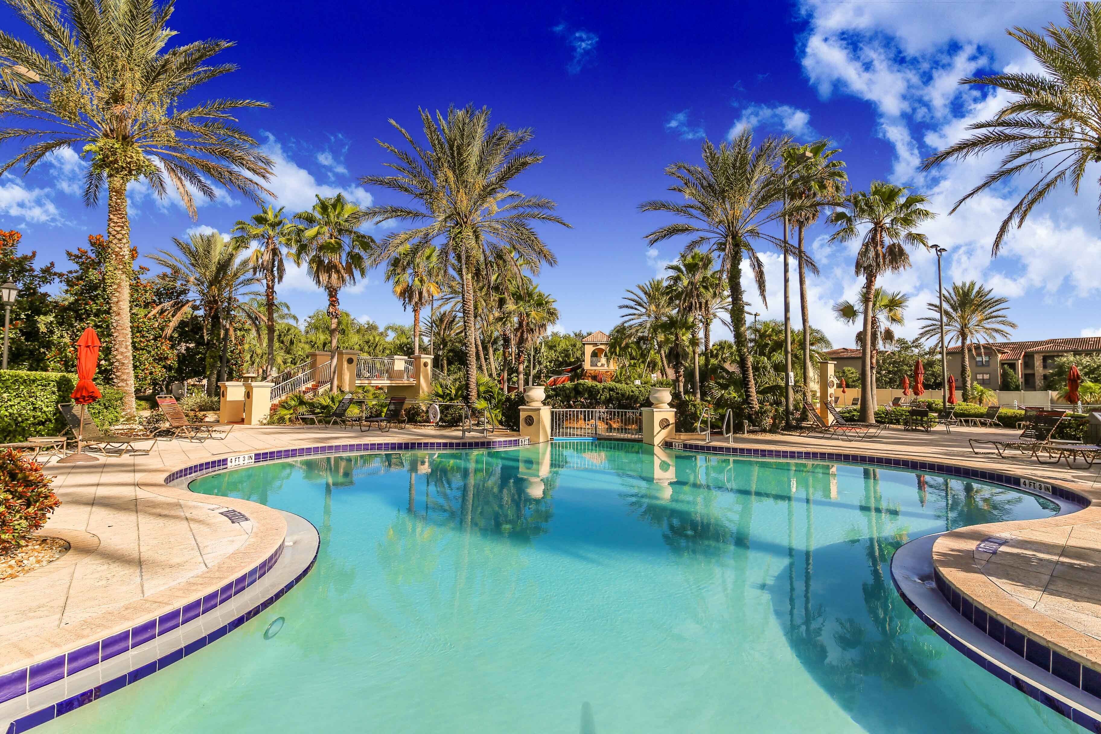 Una piscina rodeada de palmeras y sillas de descanso.