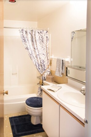 Hair dryer, towels, soap, toilet paper