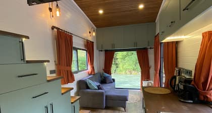 RayLife Tinyhause