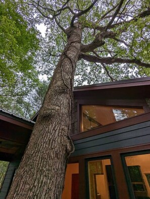 DĂ©tail de lâextĂ©rieur