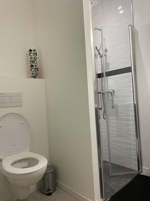 Regadera, toallas, jabón, papel de baño