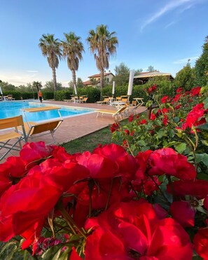 Pool - Agriturismo Le Macine - Two-room apartment (CECINA)