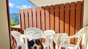A dog sitting on a mat in a doorway with a view of outdoor chairs and a wooden fence. - Bel Appartement Avec Piscine - Le Grand Tétras (Samoëns)