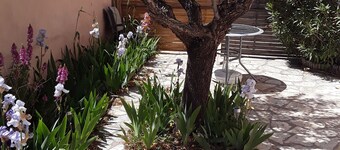 Studette " Le Colibri " 5mn des Plages au Calme