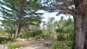 A rustic outdoor seating area with a wooden bench, surrounded by trees and potted plants.