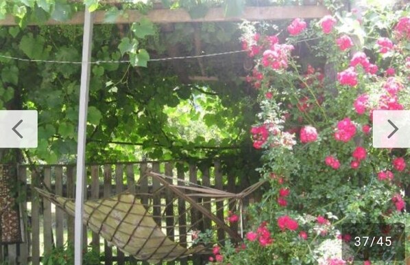 Jardín