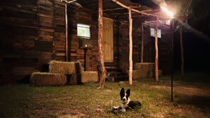 Une cabane en bois rustique, avec des bottes de foin et un chien allongé par terre.