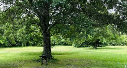 Cabin 2 near the river nestled next to Sam Houston Park with a fire pit