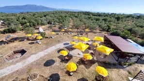 Garden - Mavi Kuş (Ayvacik)