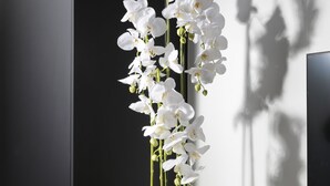 Un interior moderno con un armario negro, una orquídea en maceta, una botella de vino, dos copas y una bandeja con una tarjeta.