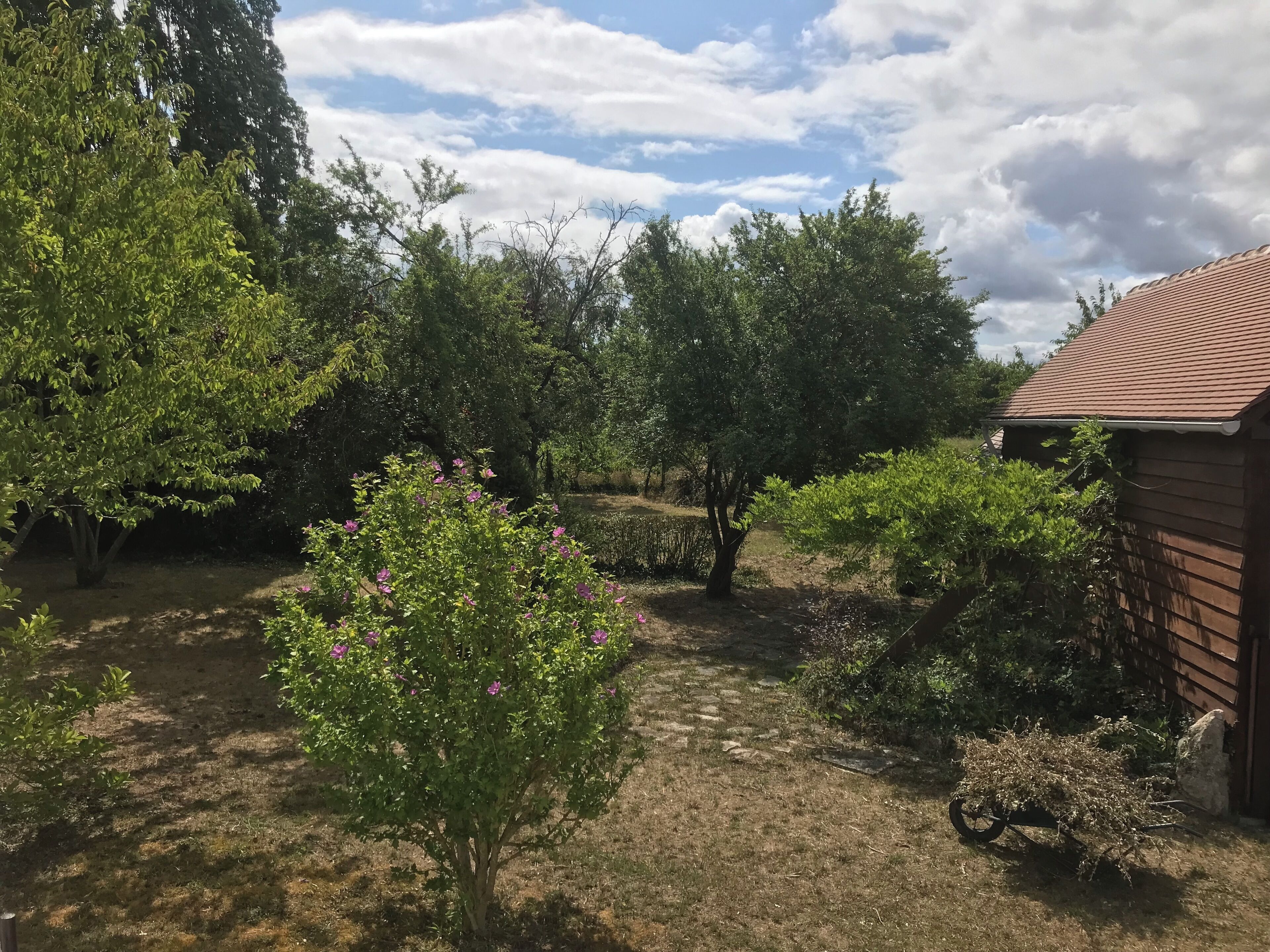 A garden with various trees and shrubs, a wooden fence, and a building with a tiled roof.