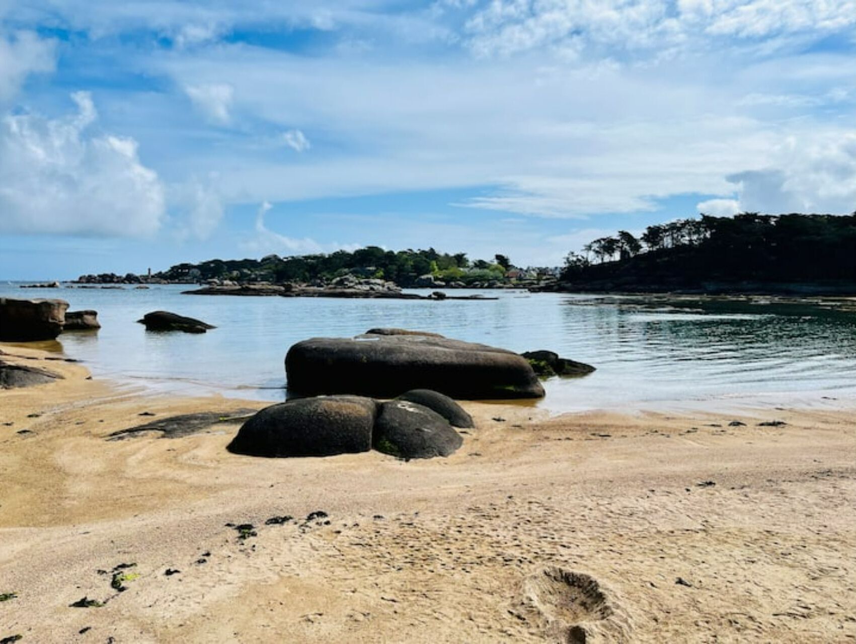 在海灘附近、躺椅