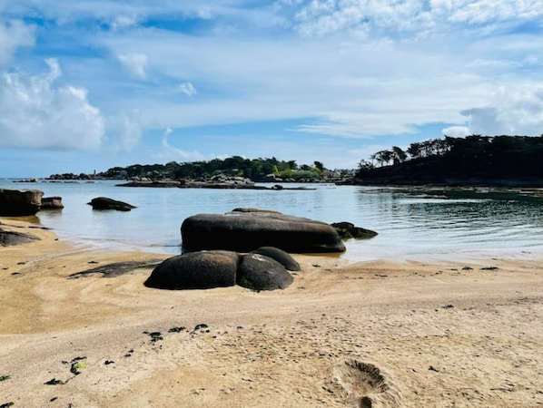 Beach nearby, sun loungers