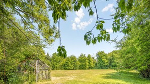 Eine Wiese mit einer Holzhütte und dichter Baumvegetation.