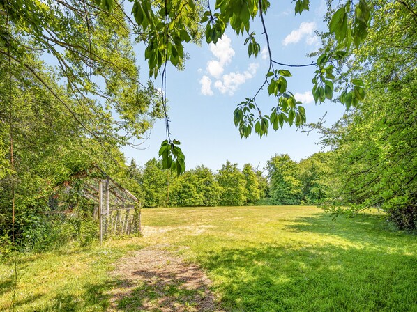 A grassy field with a wooden structure and dense trees.