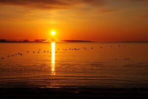A sunset over a calm body of water with silhouettes of birds flying. - Coastal Black Point Beach House (East Lyme)