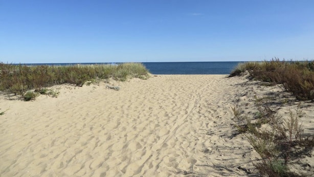 A sandy beach path leading to the ocean with clear skies.