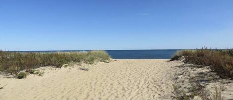 Camastros y toallas de playa