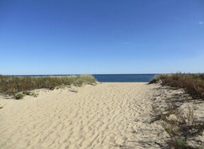 Chaises longues, serviettes de plage