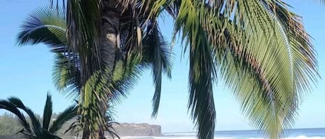Une plage bordée de palmiers, offrant une vue dégagée sur l’océan.